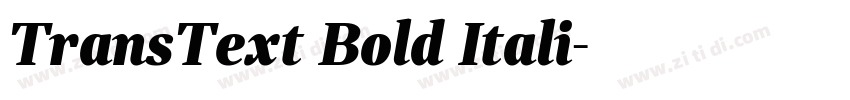 TransText Bold Itali字体转换